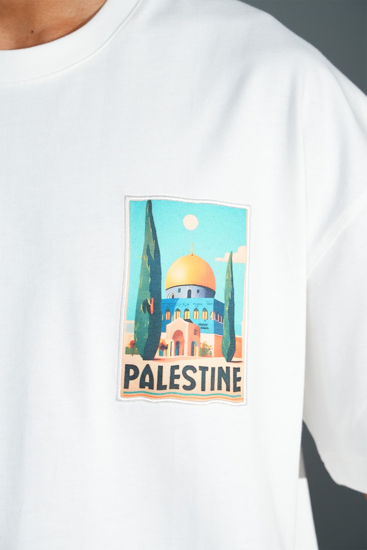 TEE SHIRT LP2562