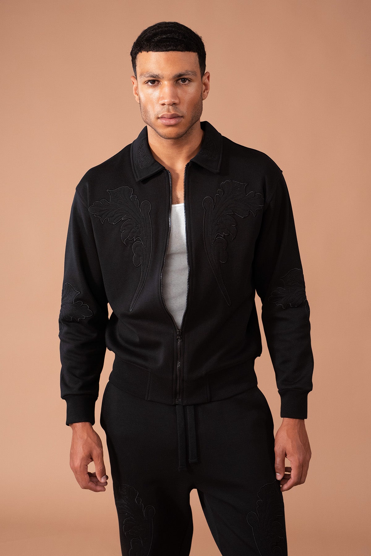 ENSEMBLE LP2618
