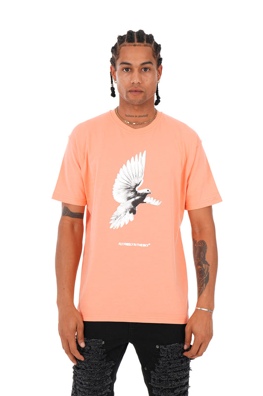 TEE SHIRT LL1072