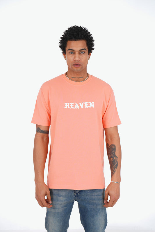 TEE SHIRT LL1092