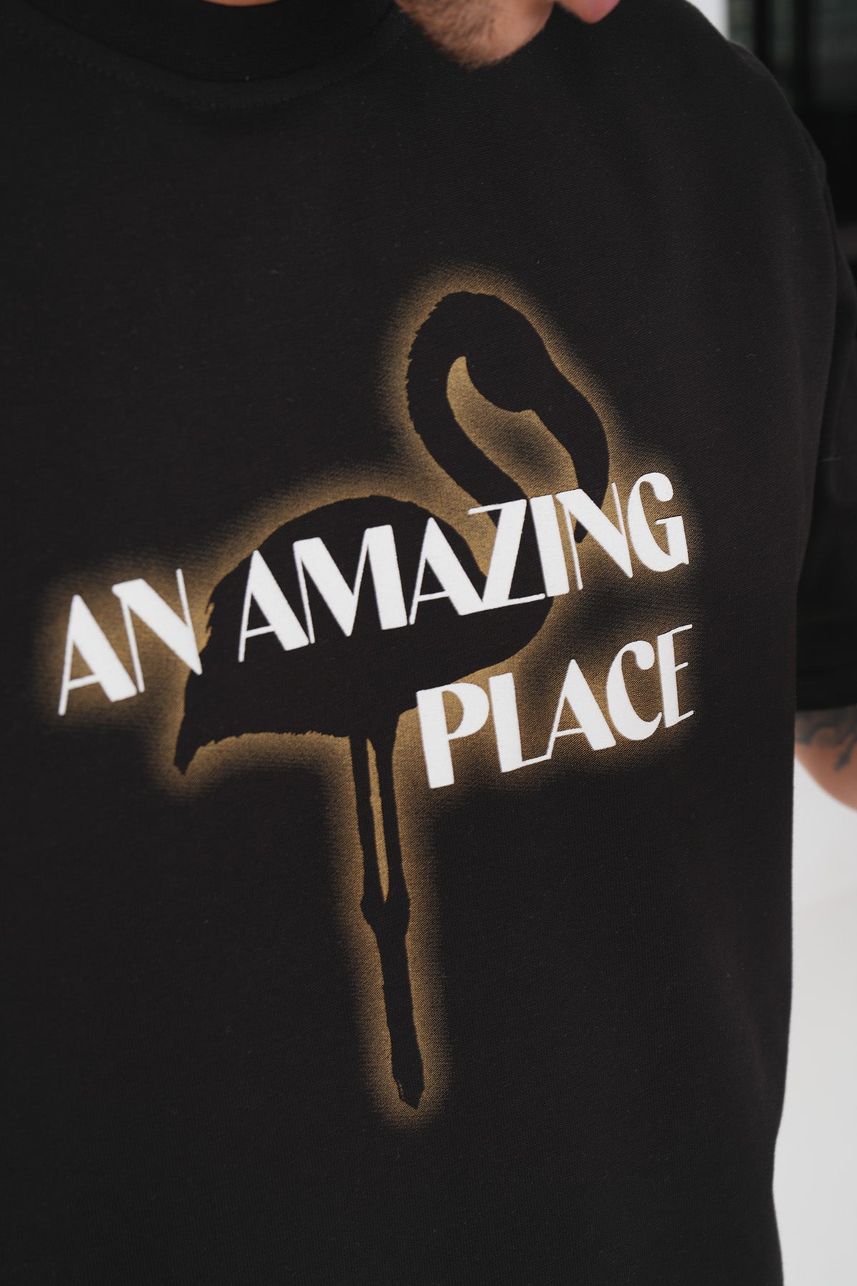 TEE SHIRT LL1044
