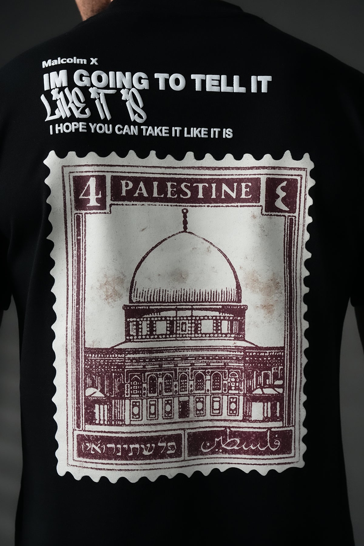 TEE SHIRT LL1100114