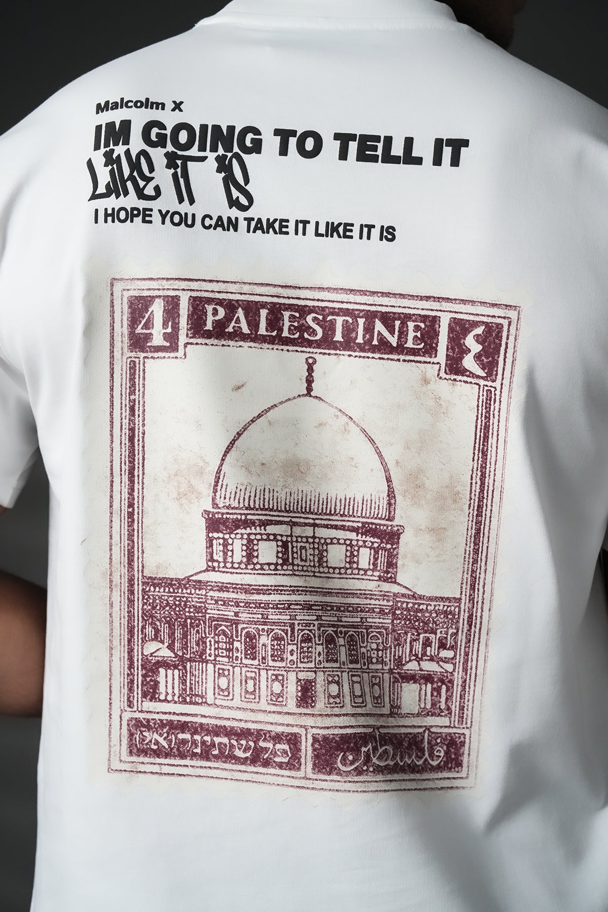 TEE SHIRT LL1100114