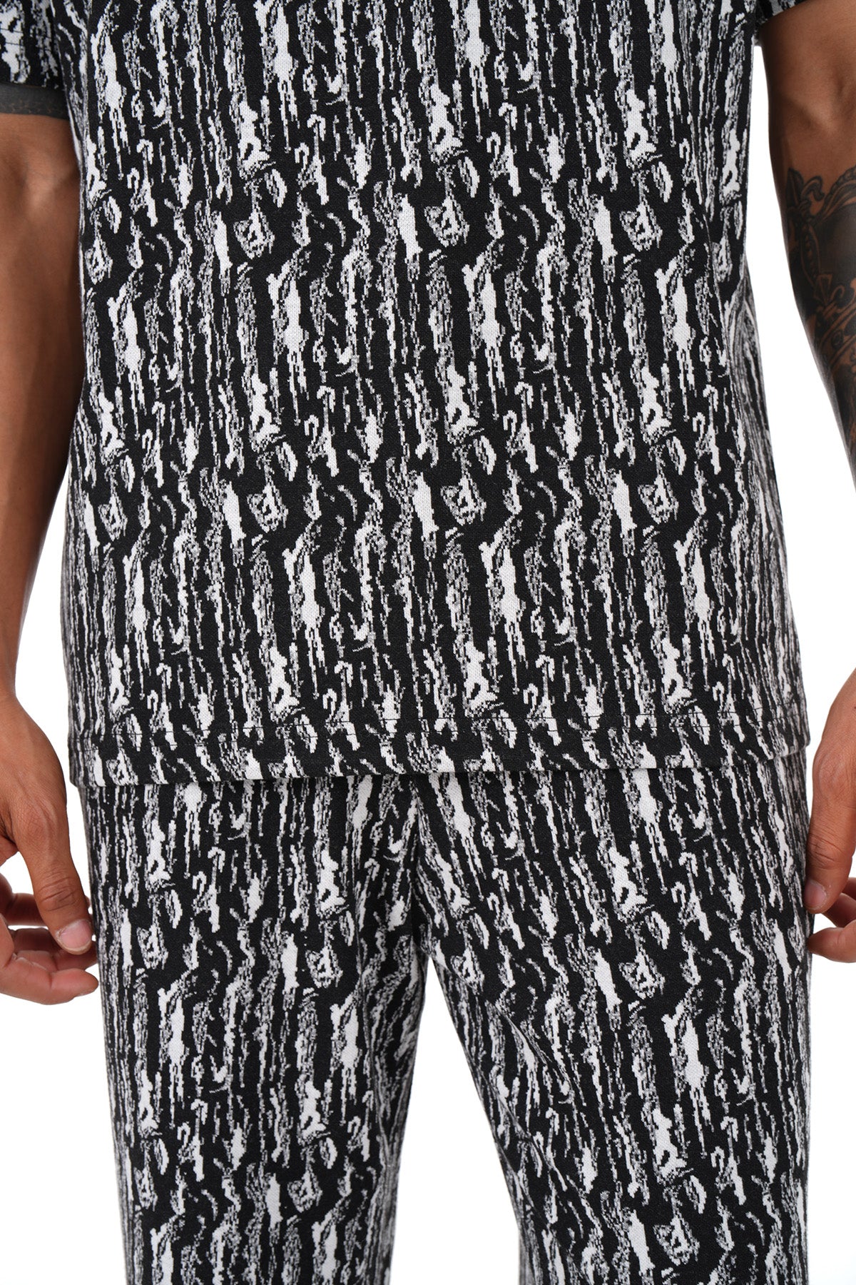 ENSEMBLE LL1116