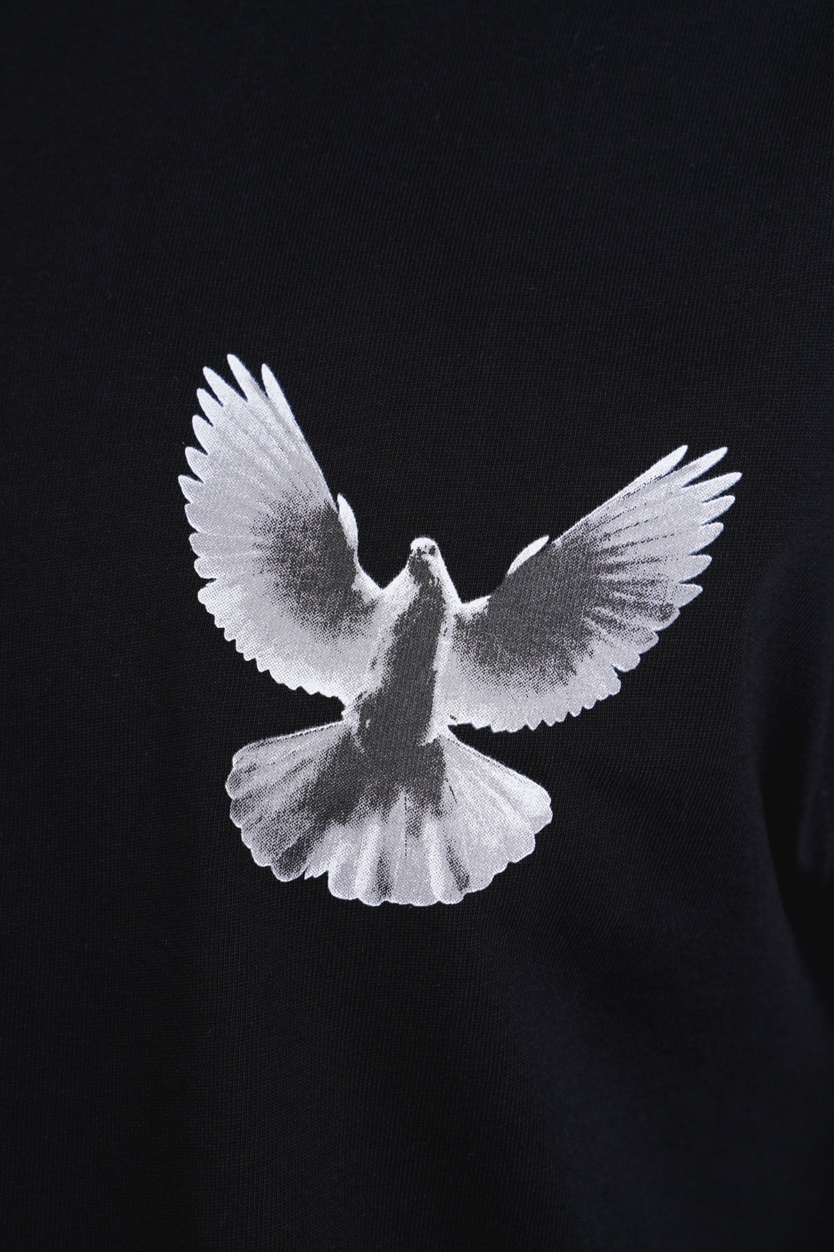 TEE SHIRT LP2502
