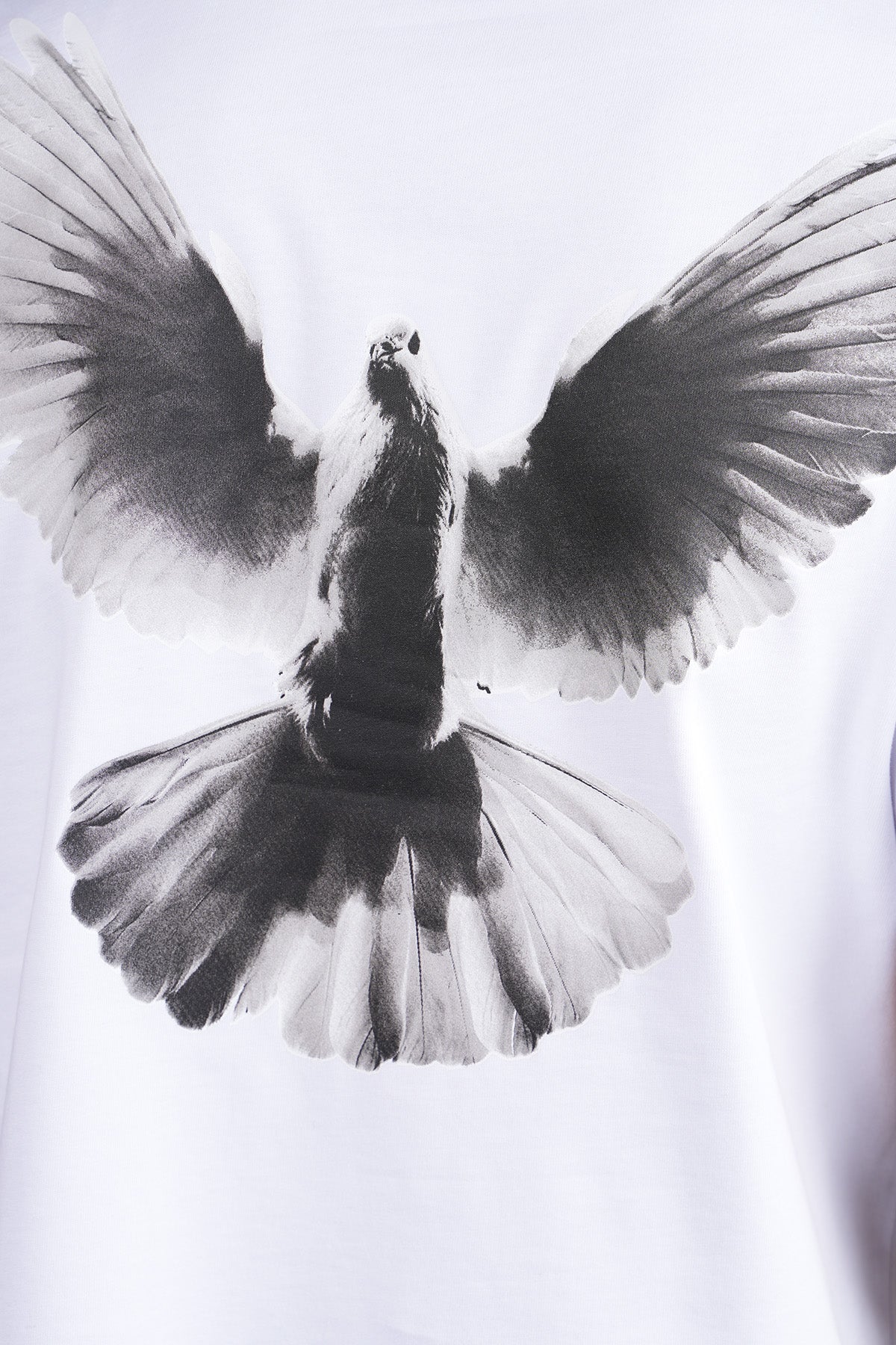 TEE SHIRT LP2502