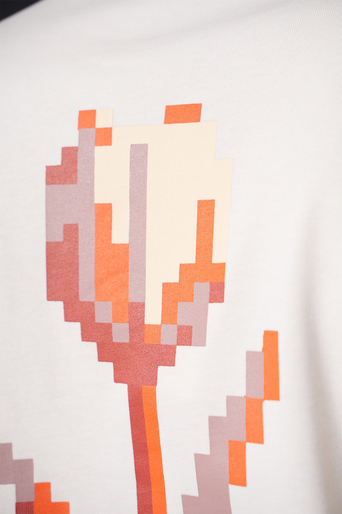 TEE SHIRT LL0068